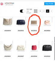 22C evening bag.png