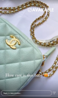 light green caviar camera bag.png