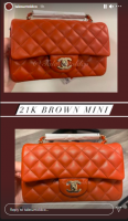 brown NF385 mini flap bag.png