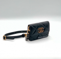 C19 belt bag.png