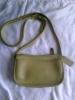 Lime Wendie l.jpg