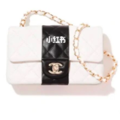 22C bags 2.png