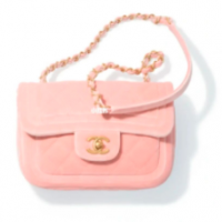 22C bag 1.png
