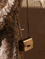 lace dress and golden toned metal clutch with chain.png