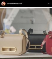 Delvaux Lingot vs Hermès Roulis, Which bag is the fairest of them all?