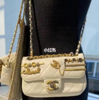 AS2978 B07261 10601 coco clips flapbag.png