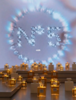 chanel no 5.png