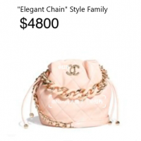 $4800 bucket bag.png
