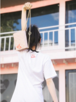 lv coussins.png