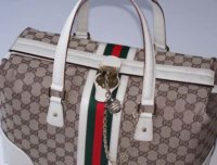 gucci b2.jpg