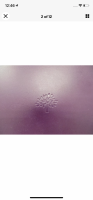 1F615698-A8A1-4A97-8F90-76285C9C759D.png