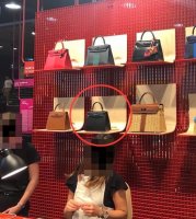 IMG_0498.jpeg
