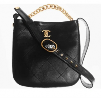 22C hobo bag.png