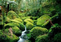AB57CC62-3752-4FEF-AD95-40B2FE286CA6.jpeg
