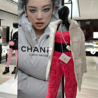 coco neige 0.png