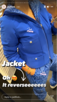 reversible jacket 3.png