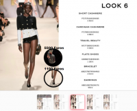 look 6.png