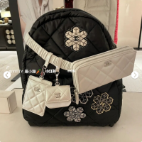 backpack belt accessories.png