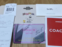 yukko-9611 fake coach props.png