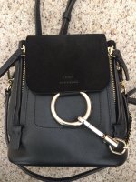 Chloe Mini Backpack Photo A.JPG