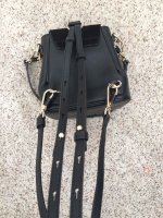 Chloe Mini Backpack Photo F.JPG