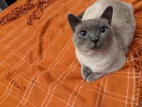 AAD29270-0A19-4D31-AE7A-CF43099ADBFF.jpeg