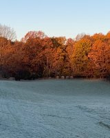 IMG_1345.jpg