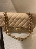 D55CBE8D-859A-4FDE-B1D3-7C61E9617A13.jpeg