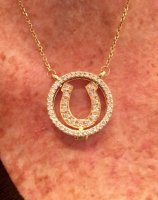 horseshoe necklace.jpg