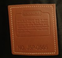 1995_P-plant-US_J5P-0565-tan-a.jpg