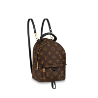 lv tiny backpack review