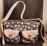 bag.jpg