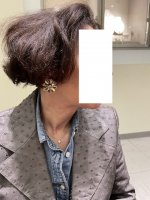 Verdura Ray Earrings - 1.jpeg