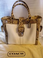 canvas and python tote.jpg