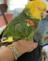 15172361-E00B-4777-850F-9423428E4B47.jpeg