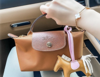longchamp cosmetic bag with a strap｜TikTok Search
