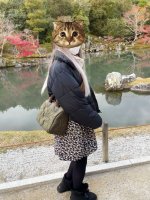 47348DB6-CF54-40CB-9DDE-8CDA7E95EC85.jpeg