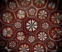 46D6914C-512E-4791-9BC4-26AC7E529627.jpeg