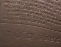 1999_D-plant-REAL-B9D-9966-b.jpg