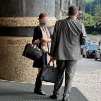 Birkin.jpg