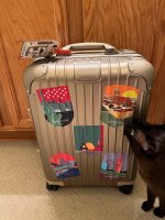 IMG_7322.jpeg
