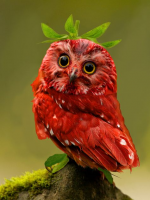1640412820830.png