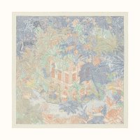 faubourg-tropical-shawl-140--243602S 08-flat-1-300-0-1700-1700-q99_b.jpg