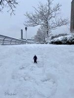 6723D260-FE5C-4D82-A6F5-C6508F618AAB.jpeg