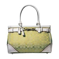 3661_SIG LARGE CARRYALL-d1.jpg