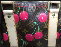 LV Photo 1.png