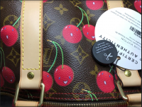 LV Photo 3.png