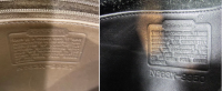 Coach x plant July 2003 .png