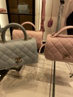 IMG_2445.jpeg