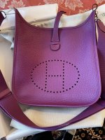 IMG_2296.jpeg